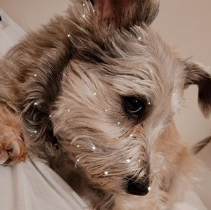 Meet your Posher, Erika